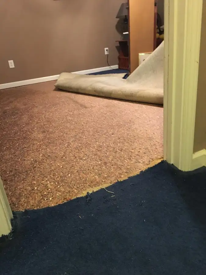 Carpet pad removal revealing water damage during Drying & Dehumidification in Carbondale