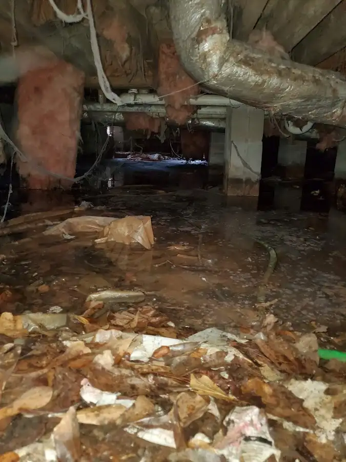 Crawl space flood assessment for Leak Detection & Repair in Carbondale